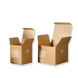 Kraft Boxes (2)